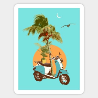 SCOOTER TROPICS Sticker